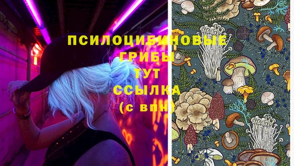бошки Кинешма